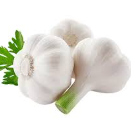 فروش سیر