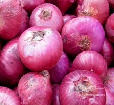 فروش پیاز