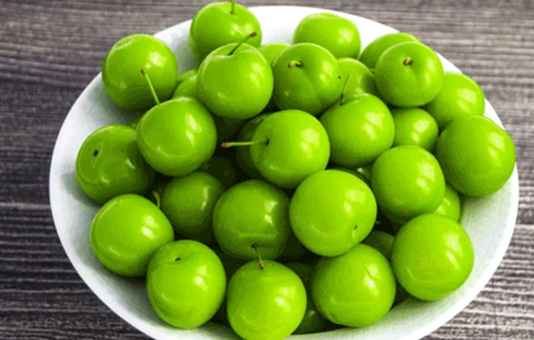 فروش آلوچه