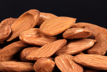 فروش بادام درختی