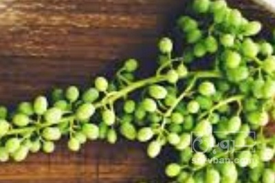 فروش غوره عسگری