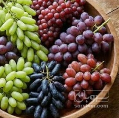 فروش انگور