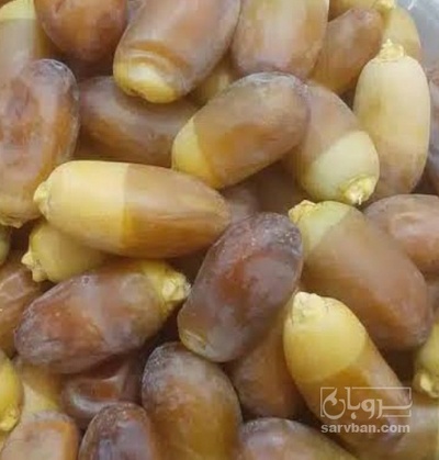 فروش رطب