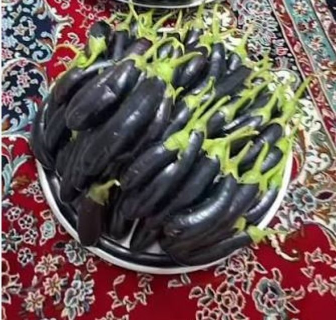 فروش بادمجان