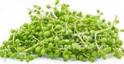 فروش غوره