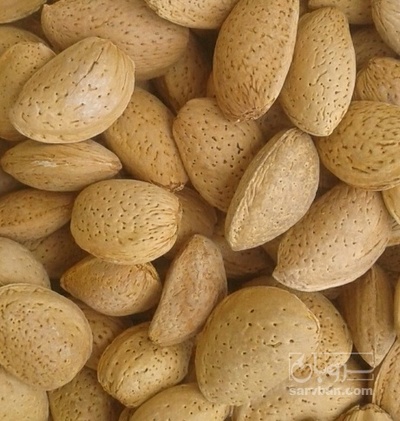 فروش بادام سنگی