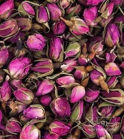 فروش غنچه گل محمدی (گیاه‌ دارویی)
