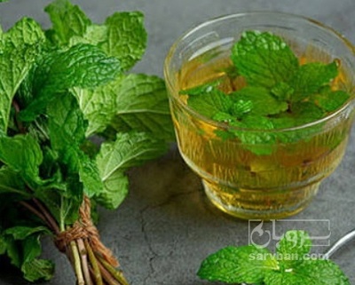 فروش عرق نعناع