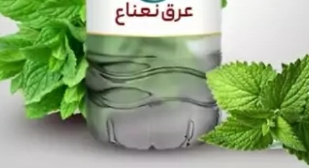 فروش عرق نعناع