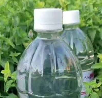 فروش عرق شیرین بیان