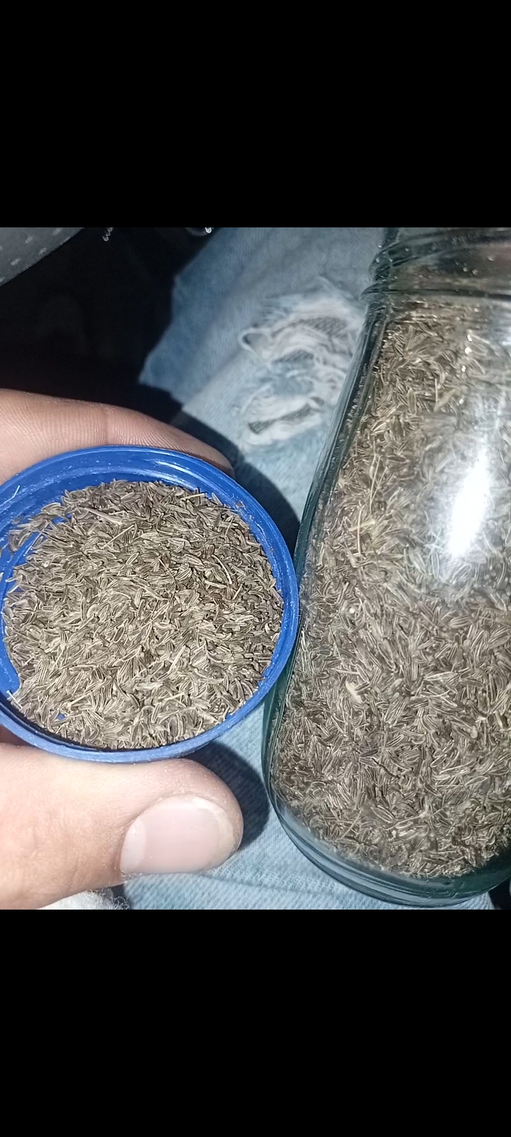فروش زیره (گیاه‌ دارویی)