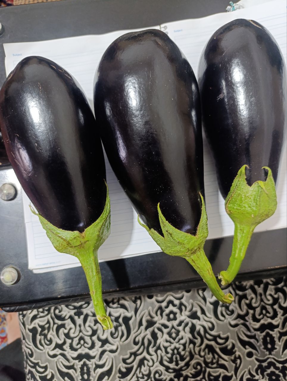 فروش بادمجان