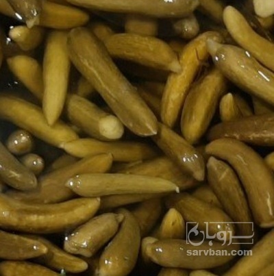 فروش خیار شور حلب