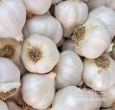 فروش سیر