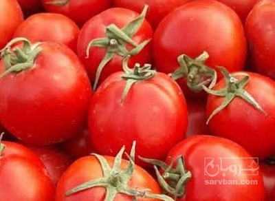 فروش گوجه فرنگی