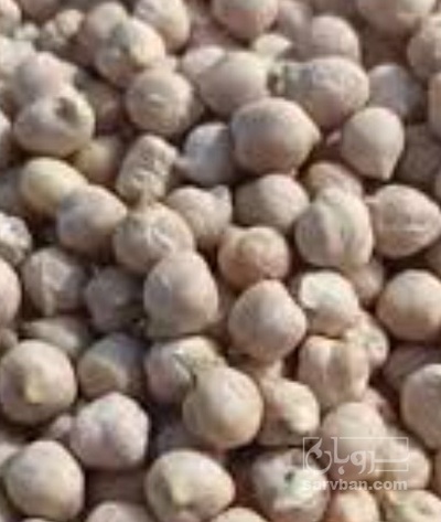 فروش نخود