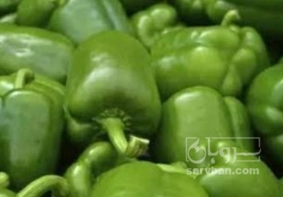 فروش فلفل دلمه ای