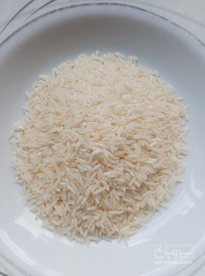فروش برنج