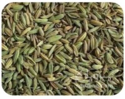 فروش زیره (گیاه‌ دارویی)