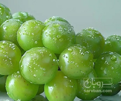 فروش غوره