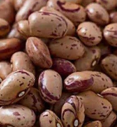فروش لوبیا چیتی
