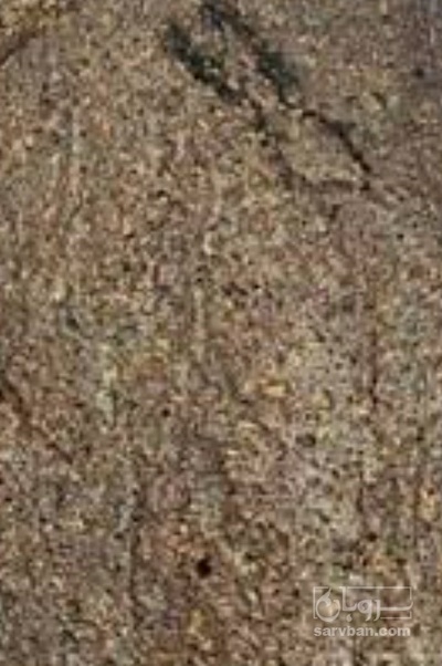فروش  خمیر کشمش