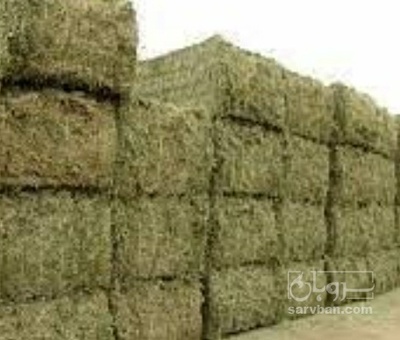 فروش یونجه