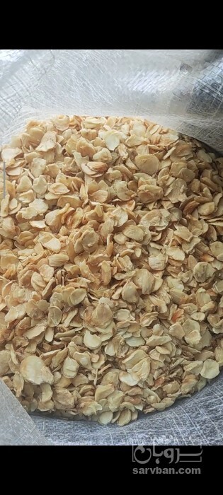 فروش موسیر