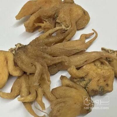 فروش ثعلب (گیاه‌ دارویی)