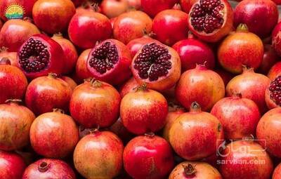 فروش انار