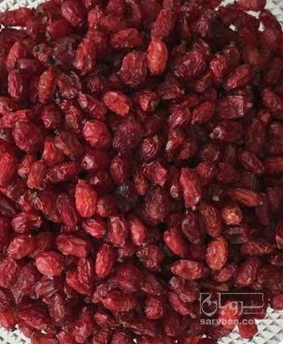 فروش زرشک