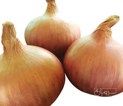 فروش پیاز زرد