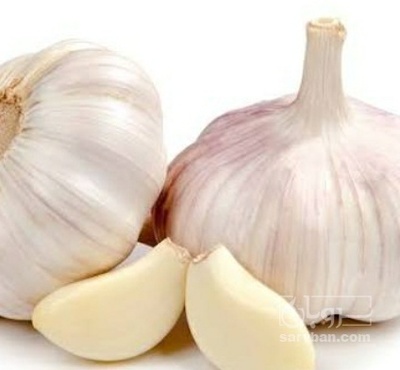 فروش سیر