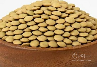 فروش عدس
