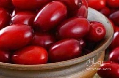 فروش زغال اخته