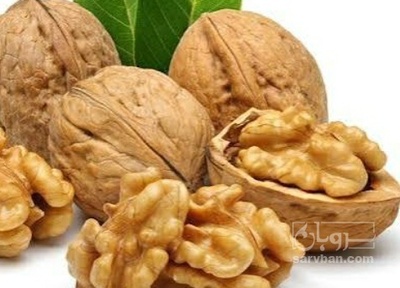 فروش  مغز گردو