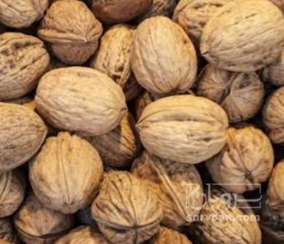 فروش گردو