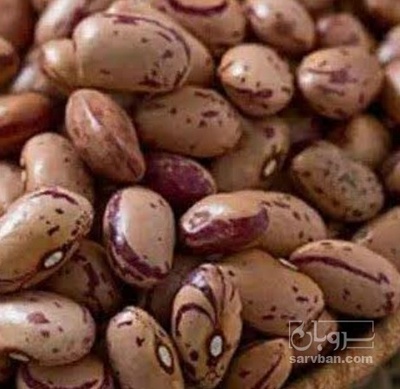 فروش لوبیا چیتی