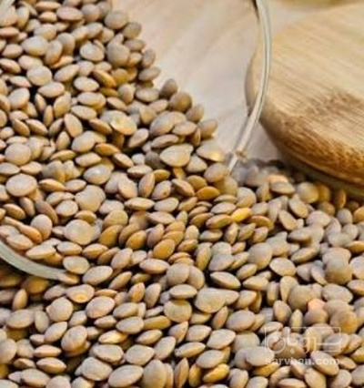 فروش عدس