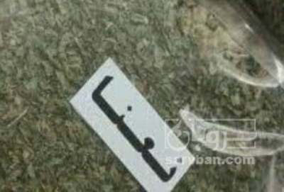 فروش نعناع خشک (گیاه‌ دارویی)