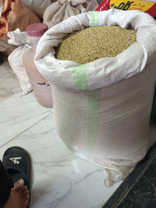فروش تخم گشنیز (گیاه‌ دارویی)