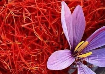 فروش زعفران (گیاه‌ دارویی)