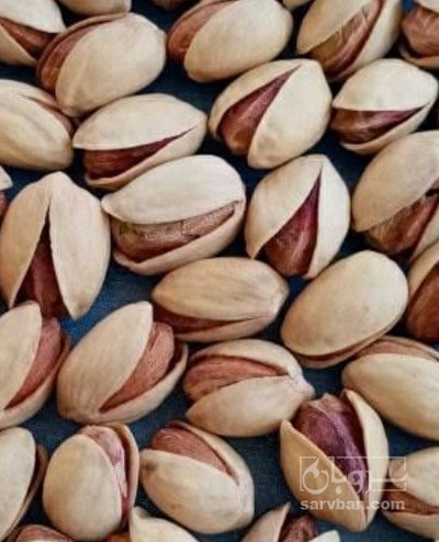 فروش پسته