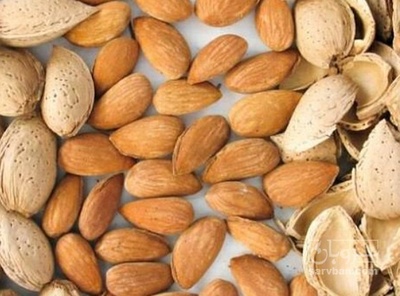 فروش بادام