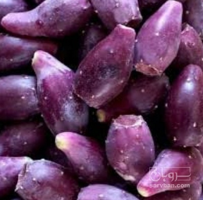 فروش میوه کاکتوس (دراگون فروت)