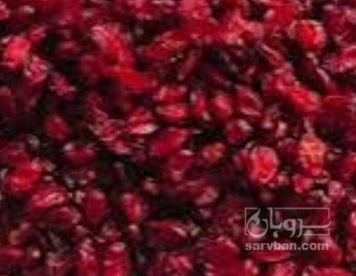 فروش زرشک