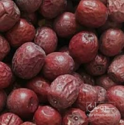 فروش عناب