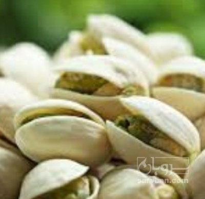 فروش پسته اکبری