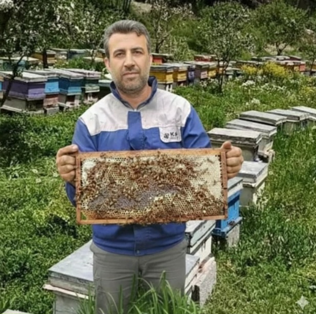 فروش عسل جنگل (نمدار)