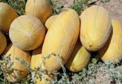 فروش خربزه